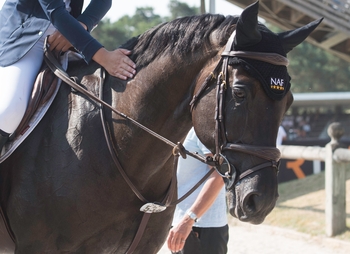 British Showjumping’s Team NAF announced for Kronenberg CSIO3* FEI Nations Cup