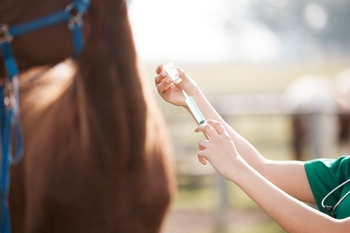 UPDATE: Equine Influenza Vaccine Shortage UPDATE: Equine Influenza Vaccine Shortage
