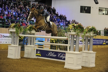 Watch the Blue Chip Winter Showjumping Championships Live Watch the Blue Chip Winter Showjumping Championships Live
