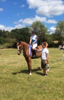Abigail Hall scoops KBIS Insurance Senior British Novice Second Round win at Waterford Equestrian