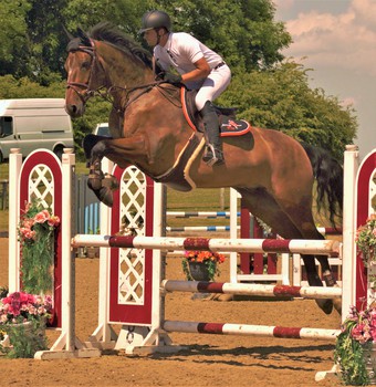 Adam Taylor takes the Nupafeed Supplements Senior Discovery Second Round at Speetley Equestrian Centre