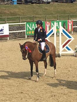 Allana Clutterbuck Tops the Blue Chip Pony Newcomers Second Round at the Welsh Home Pony