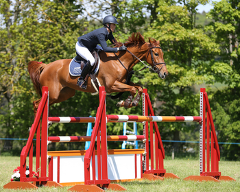 Annabel Shields dominates the British Horse Feeds Speedi-Beet HOYS Grade C Qualifier at Fife Agricultural Show