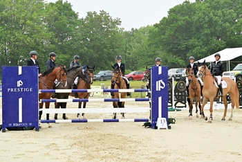 10 More Horses Gain Qualification to Contend for the Big Star Trophy in the Prestige Italia Big Star Championship Qualifier at Coombelands Equestrian Centre