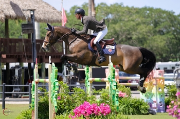 Ben Maher scores a win at Wellington International with Ginger-Blue