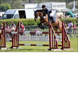 BERKELEY SHOW IS BACK IN THE CALENDAR 24TH JUNE 2018 BERKELEY SHOW IS BACK IN THE CALENDAR 24TH JUNE 2018