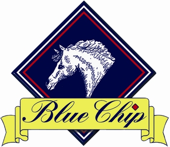 Chloe Templeton wins the Blue Chip Pony Newcomers Second Round at The Scottish Home Pony