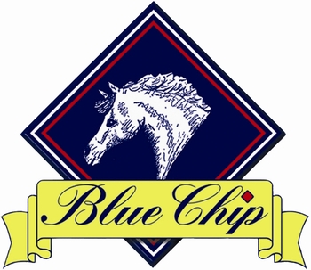 Blue Chip Feed Balancer Pony Newcomers Second Round at Weston Lawns Equitation Show