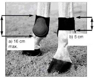 Horse Leg Protection / Boot Rule