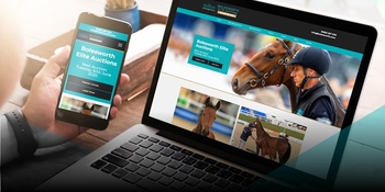 BOLESWORTH ELITE AUCTION YEARLING COLLECTION REVEALED