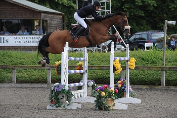 BRITISH YOUNG HORSE CHAMPIONSHIPS 2013