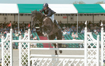 In Memoriam - Abbervail Dream