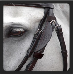 Dy'on Blinkers Dy'on Blinkers
