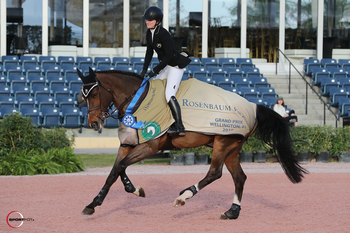 $75,000 Rosenbaum PLLC Grand Prix Victory Goes to Emily Moffitt and Tipsy du Terral at 2018 Winter Equestrian Festival