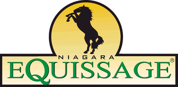 Dyfed Show Equissage Discovery Second Round