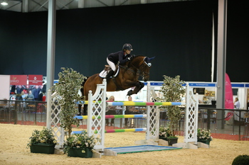 Laura Robinson secures her place in the Horse & Hound Foxhunter Championship at Horse of the Year Show