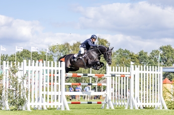 Equine America Vermento equals three-time King George record 