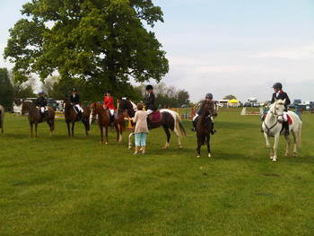 A good turnout at North Yorkshires Annual Area Show