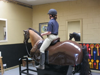 Mechanical Horse Training!