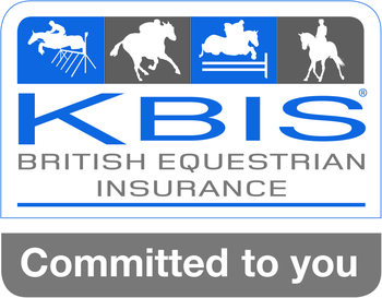 Emma Sargeant dominates the KBIS Insurance Senior British Novice Second Round at Hanbury Countryside Show