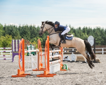 Lily Aspell wins the Blue Chip Pony Newcomers Second Round at Morris Equestrian Centre