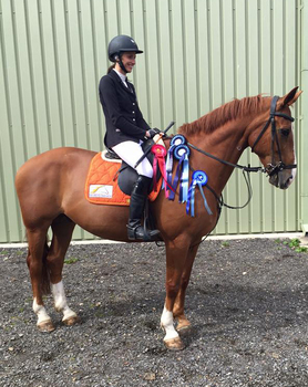 Samantha McNicholas Dominates Dodson & Horrell 0.85m National Amateur Second Round at Leamside Equestrian
