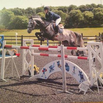 Lucy Palmers Journey to HOYS Qualification - The Official Website