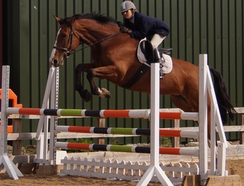 Southerly Roberts Scoops Victory in Dodson & Horrell 0.95m National Amateur Second Round at Moores Farm Equestrian Centre