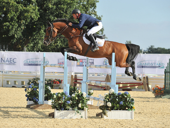 Horse of the Year Show International Wild Card Qualifier Incorporating National 1.40m Championship