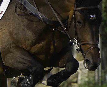 British Showjumping’s Team NAF retain 2nd place on League Table after Uggerhalne CSIO3* FEI Nations Cup