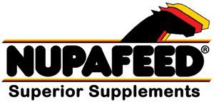 Holly Miller takes the Nupafeed Supplements Senior Discovery Second Round at The Cabin Equestrian Centre