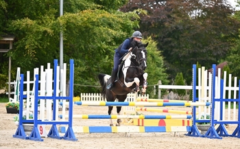 Equiyd National Amateur Second Rounds at Dorset Showground