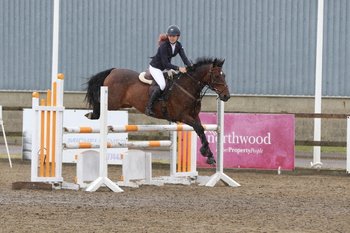 Pony Discovery Second Round at Crofton Manor Equestrian Centre