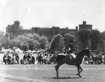 DIAMOND YEAR FOR CHI ROYAL WINDSOR HORSE SHOW