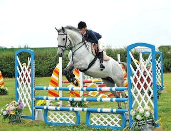 Hercules Shows his Strength to Qualify for the Nupafeed Supplements Senior Discovery Championship