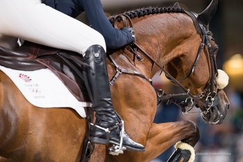 Team GB withdraws from Equestrian Jumping Team competition