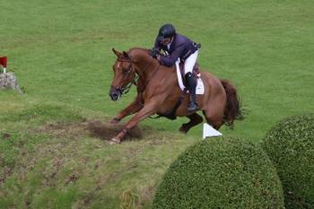 Guy Williams Speeds to Victory