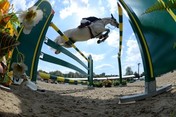 TICKETS FOR 5* CHI ROYAL WINDSOR HORSE SHOW 2019 GO ON SALE THIS WEEK TICKETS FOR 5* CHI ROYAL WINDSOR HORSE SHOW 2019 GO ON SALE THIS WEEK