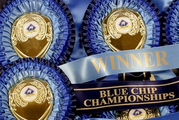 Blue Chip Championship 2020 Cancelled - Statement 17.12.20