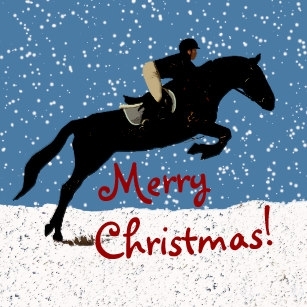 FESTIVE SHOWS SCOTLAND 2025