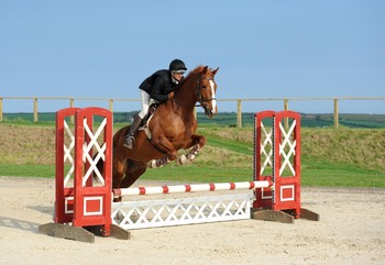 TAKE YOUR PICK - 6 CLUB SHOW DAYS THIS WEEKEND