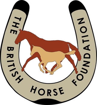 Nominations Go Live For The Horse & Hound Outstanding Mare Award Nominations Go Live For The Horse & Hound Outstanding Mare Award