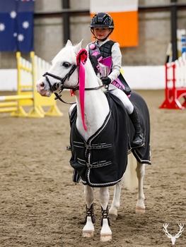 THE LITTLE STARS SERIES 2026