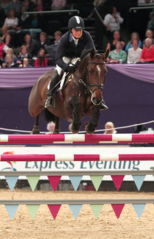 Horse of the Year Show ‘under the spotlight’ on day two Horse of the Year Show ‘under the spotlight’ on day two