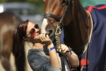 Haddon Training British Grooms Awards 2015. Haddon Training British Grooms Awards 2015.