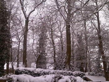 10 Feb  - show cancelled at Moulton College