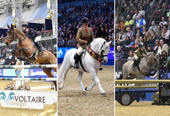 Up-And-Coming Stars Set to Feature in the National Classes at Olympia, The London International Horse Show