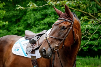 Voltaire Design Announced as Title Sponsor of Liverpool International Horse Show