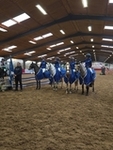 THE ENGLISH HOME PONY – SCOTTISH RESULTS 2025