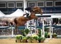The British Showjumping Winter Classic Season has ARRIVED!